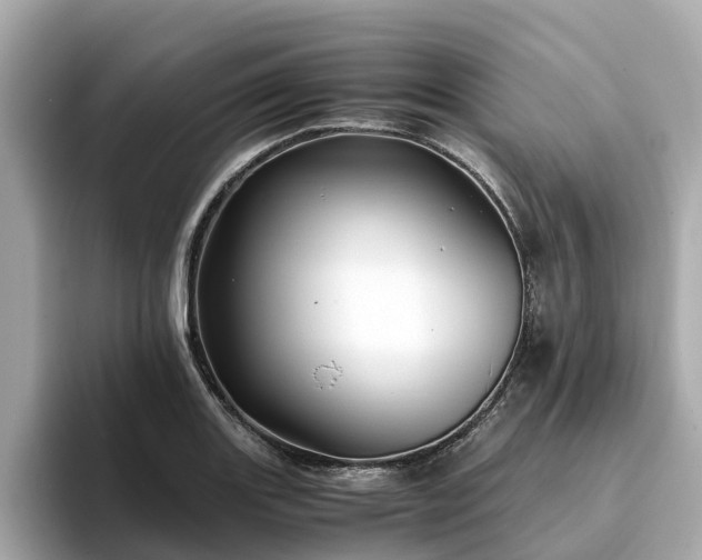 X0000094081131200710261302