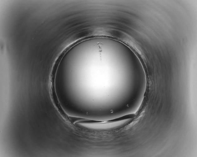 X0000094081133200710261302