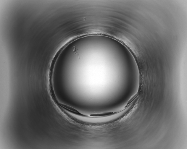 X0000094081134200710261302