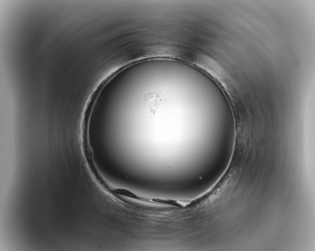 X0000094081135200710261302