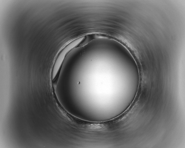 X0000094081137200710261302