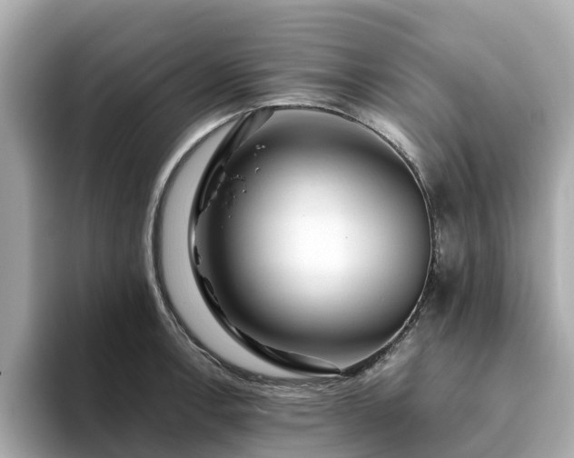 X0000094081138200710261302