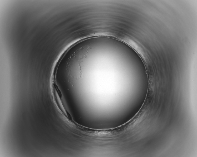 X0000094081140200710261302