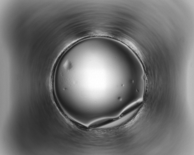 X0000094081141200710261302