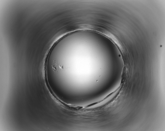 X0000094081143200710261302