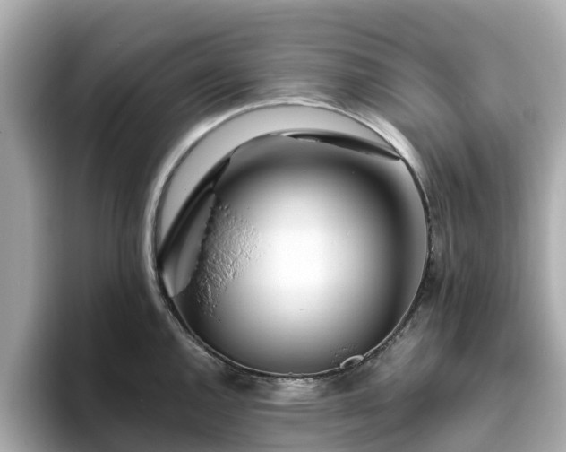 X0000094081144200710261302