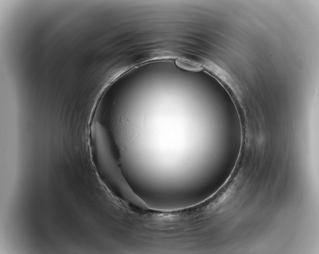 X0000094081145200710261302