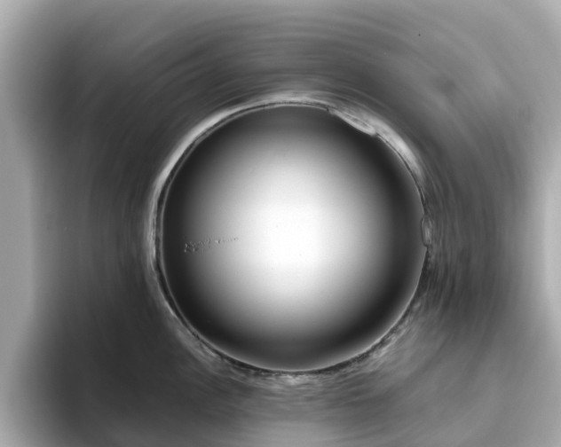 X0000094081148200710261302