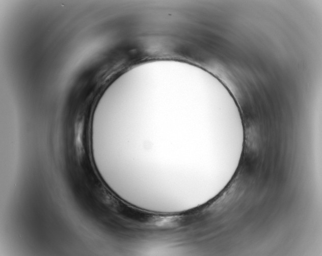 X0000094081150200710261302