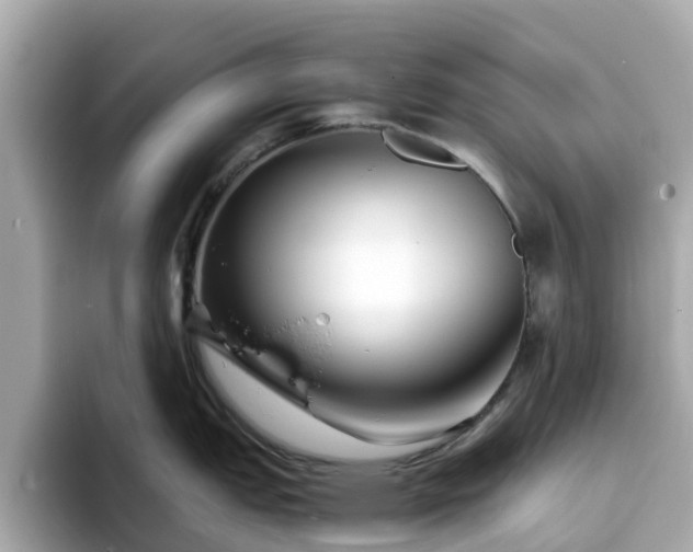 X0000094081151200710261302