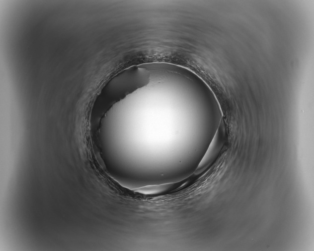 X0000094081153200710261301