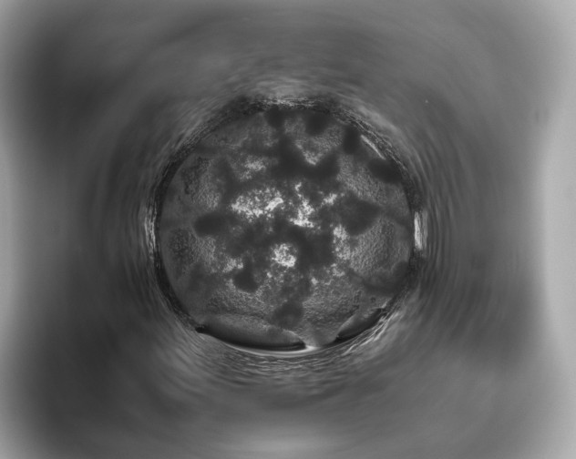 X0000094081155200710261301