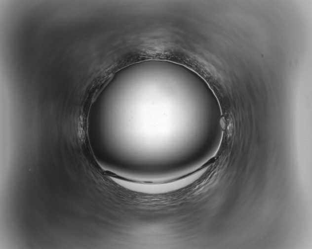 X0000094081156200710261301