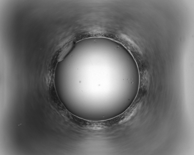 X0000094081157200710261301