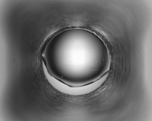 X0000094081160200710261301