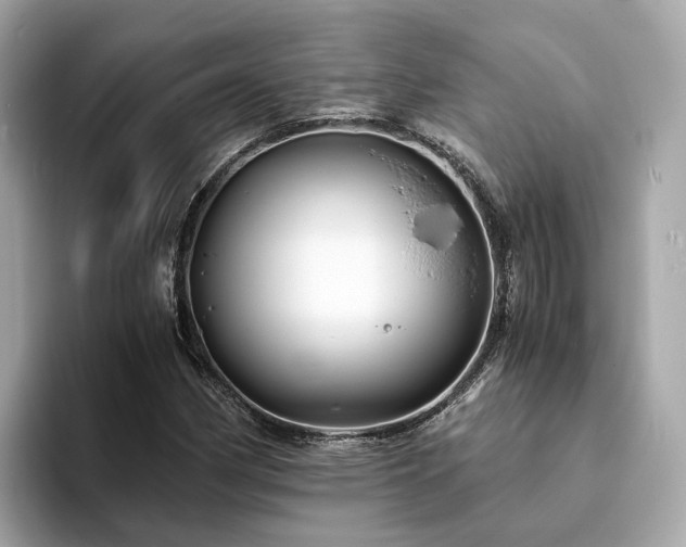 X0000094081162200710261301