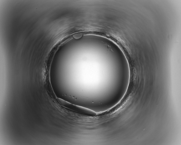 X0000094081163200710261301