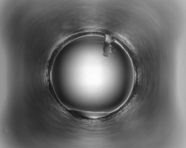 X0000094081164200710261301