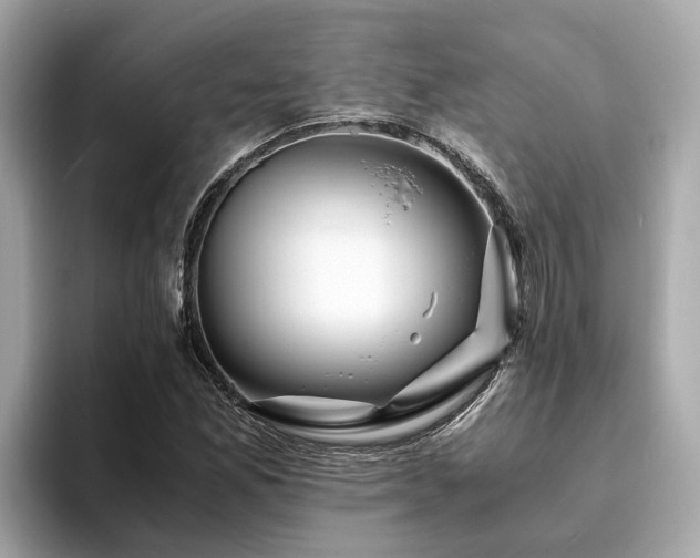 X0000094081165200710261301