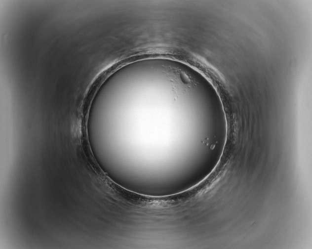 X0000094081166200710261301