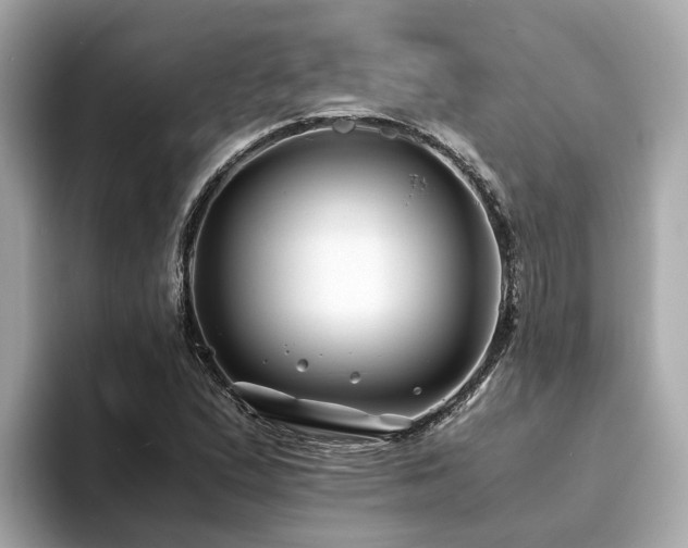 X0000094081167200710261301