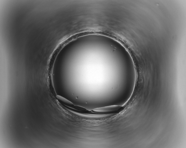 X0000094081168200710261301