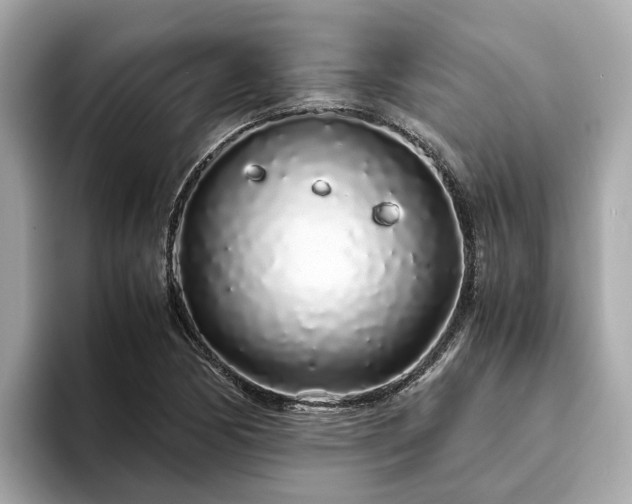 X0000094081170200710261301