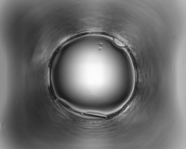 X0000094081171200710261301