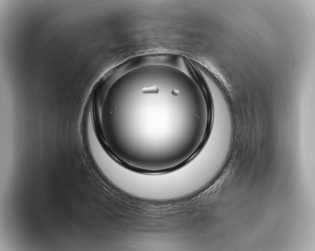 X0000094081173200710261301