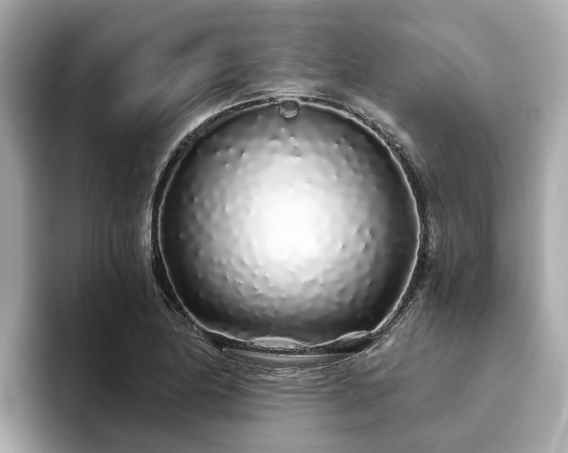 X0000094081174200710261301