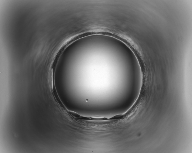 X0000094081175200710261301