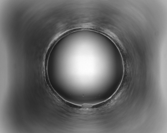 X0000094081176200710261301