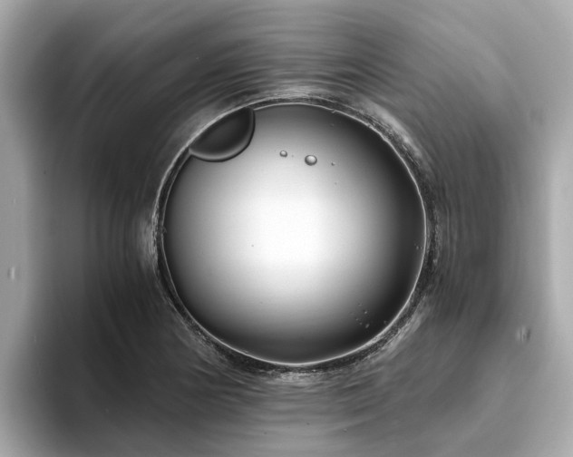 X0000094081178200710261301