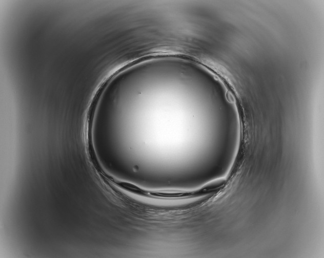 X0000094081179200710261301