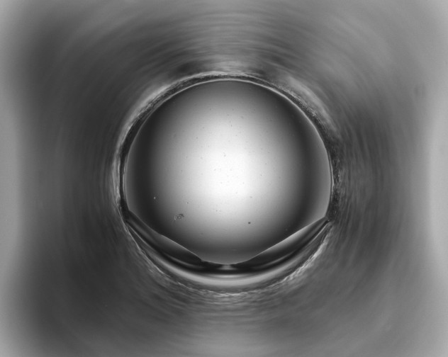 X0000094081180200710261301