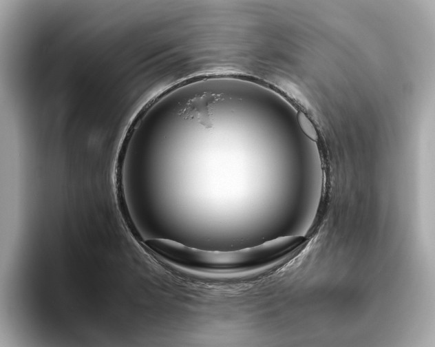 X0000094081181200710261301