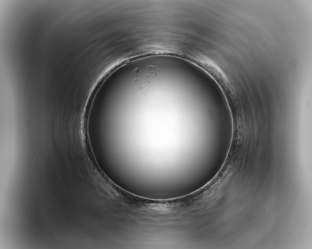 X0000094081182200710261301