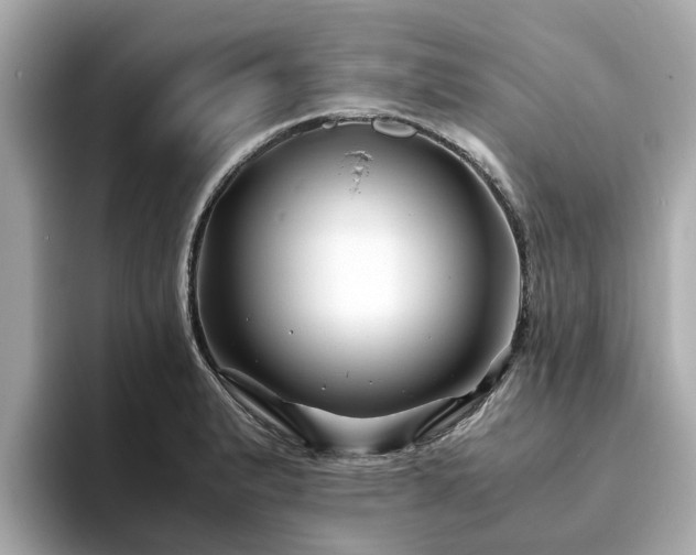 X0000094081183200710261301