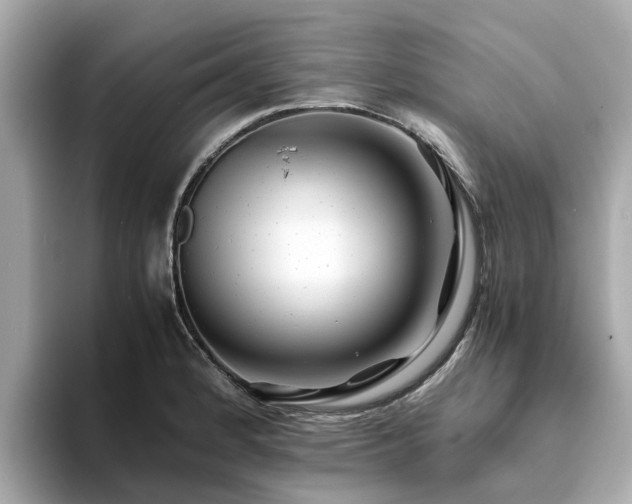 X0000094081184200710261301