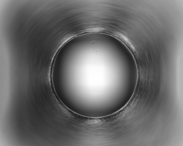 X0000094081186200710261301