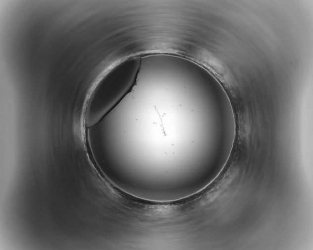 X0000094081188200710261301