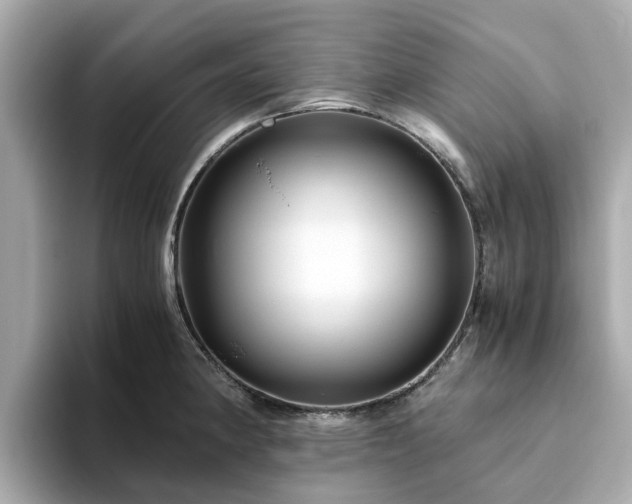 X0000094081190200710261301