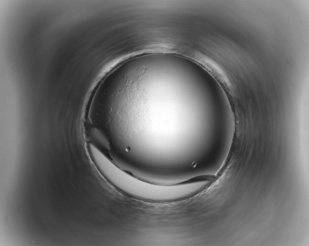 X0000094081192200710261301