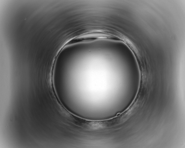 X0000094081194200710261301