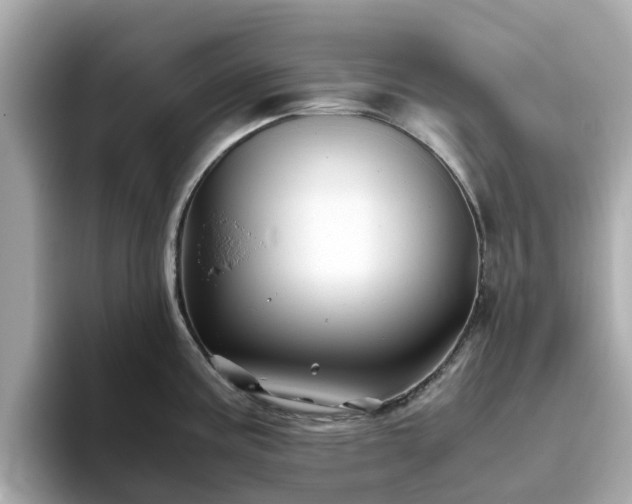 X0000094081195200710261301