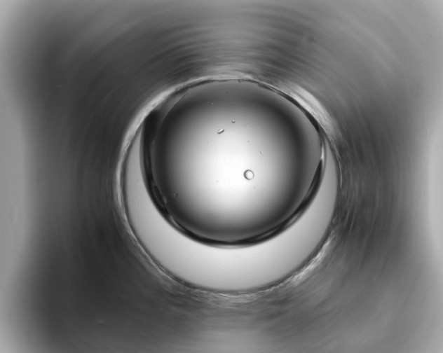 X0000094081196200710261301