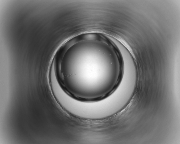 X0000094081197200710261301