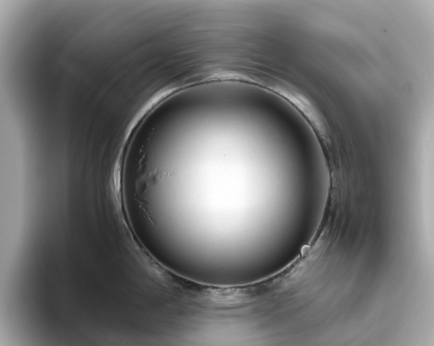 X0000094081198200710261301