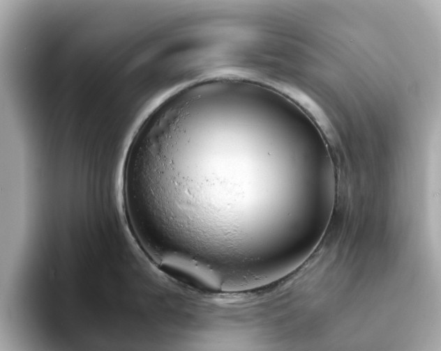 X0000094081199200710261301