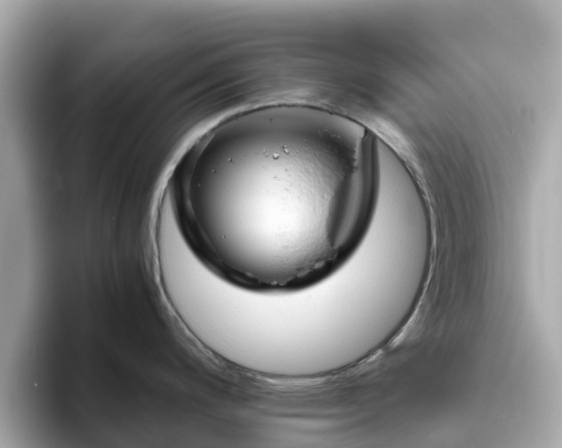 X0000094081200200710261301